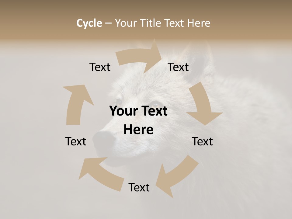 A Wolf Is Shown In This Powerpoint Presentation PowerPoint Template