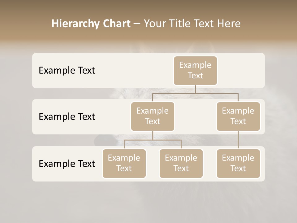 A Wolf Is Shown In This Powerpoint Presentation PowerPoint Template