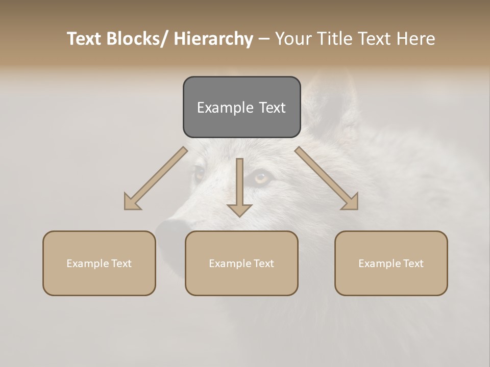 A Wolf Is Shown In This Powerpoint Presentation PowerPoint Template