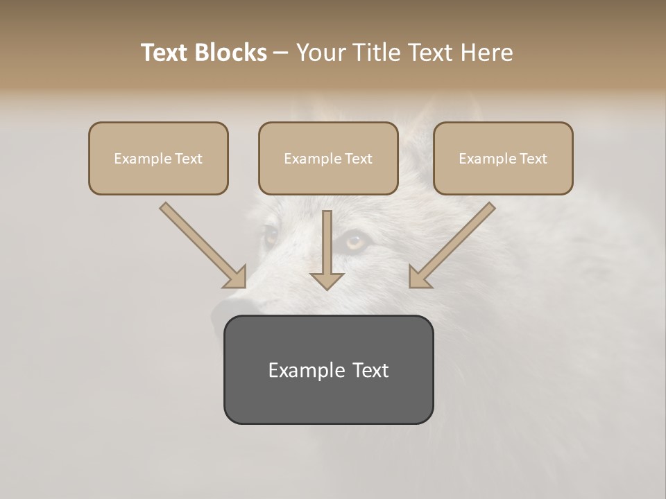A Wolf Is Shown In This Powerpoint Presentation PowerPoint Template
