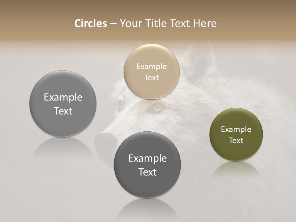 A Wolf Is Shown In This Powerpoint Presentation PowerPoint Template