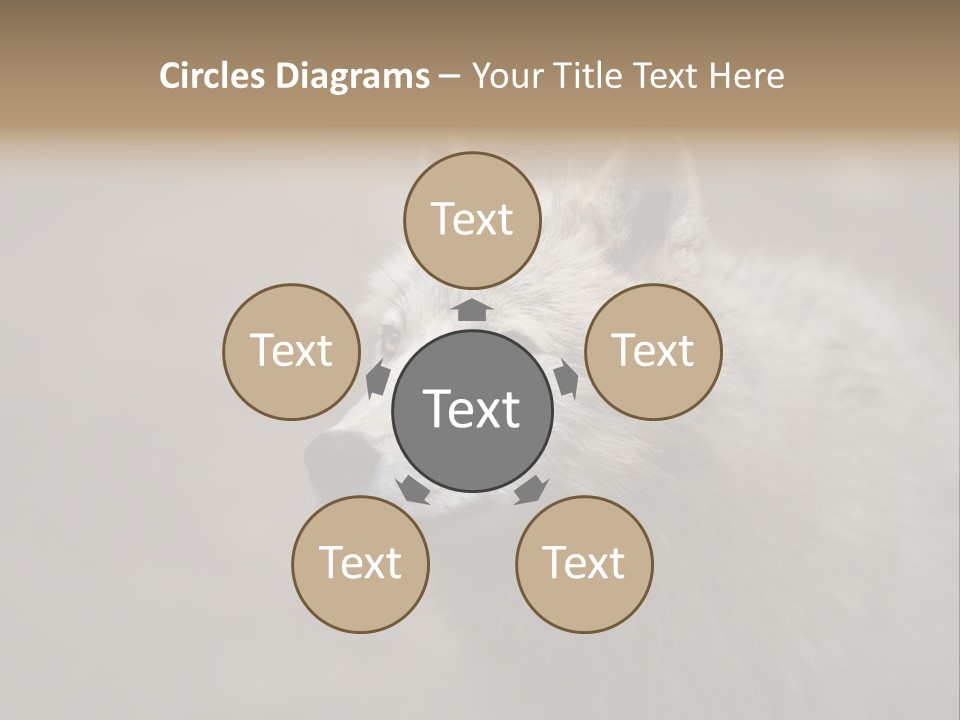 A Wolf Is Shown In This Powerpoint Presentation PowerPoint Template