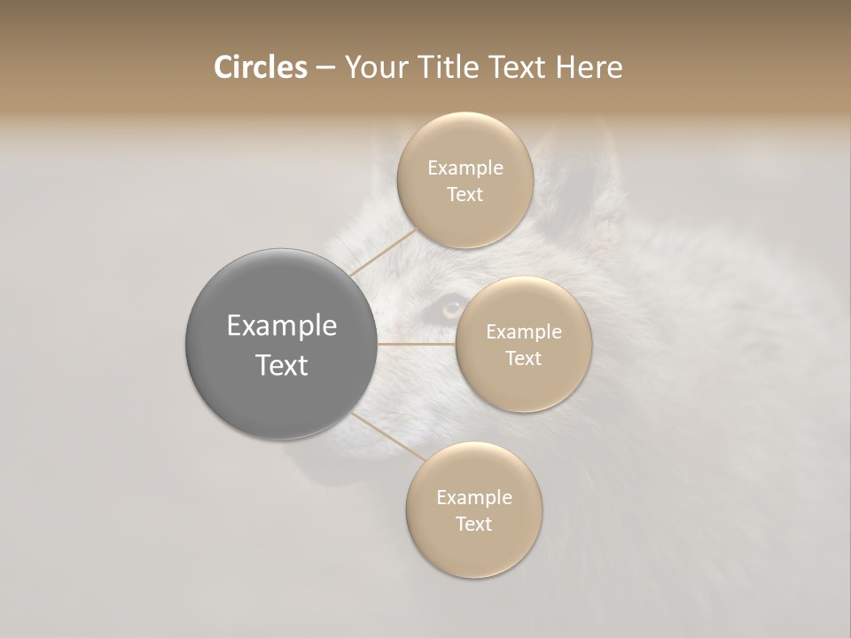 A Wolf Is Shown In This Powerpoint Presentation PowerPoint Template