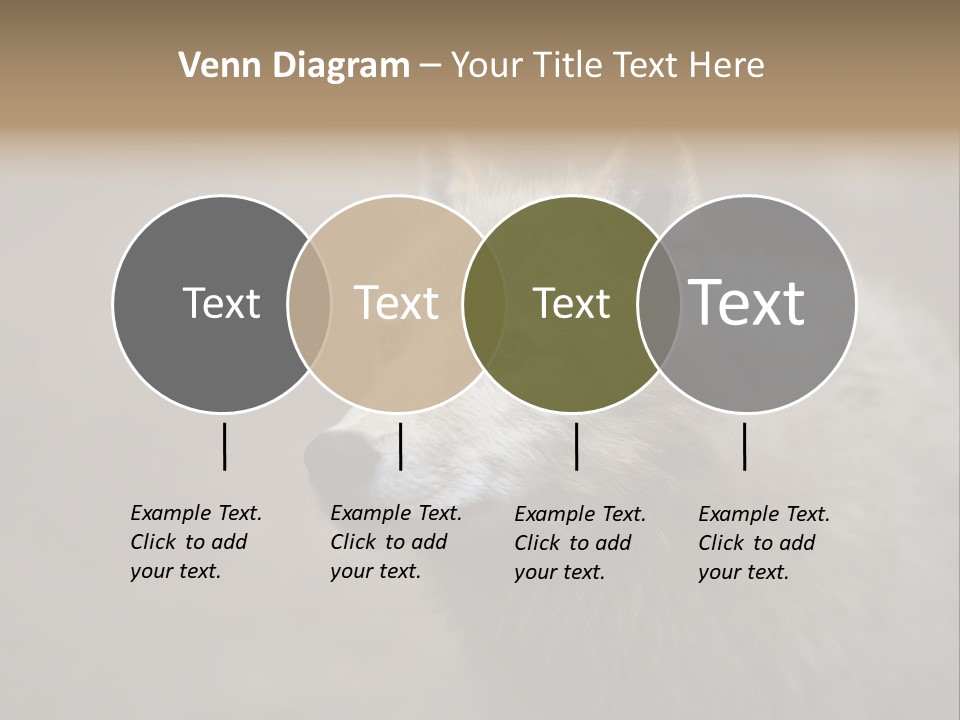 A Wolf Is Shown In This Powerpoint Presentation PowerPoint Template