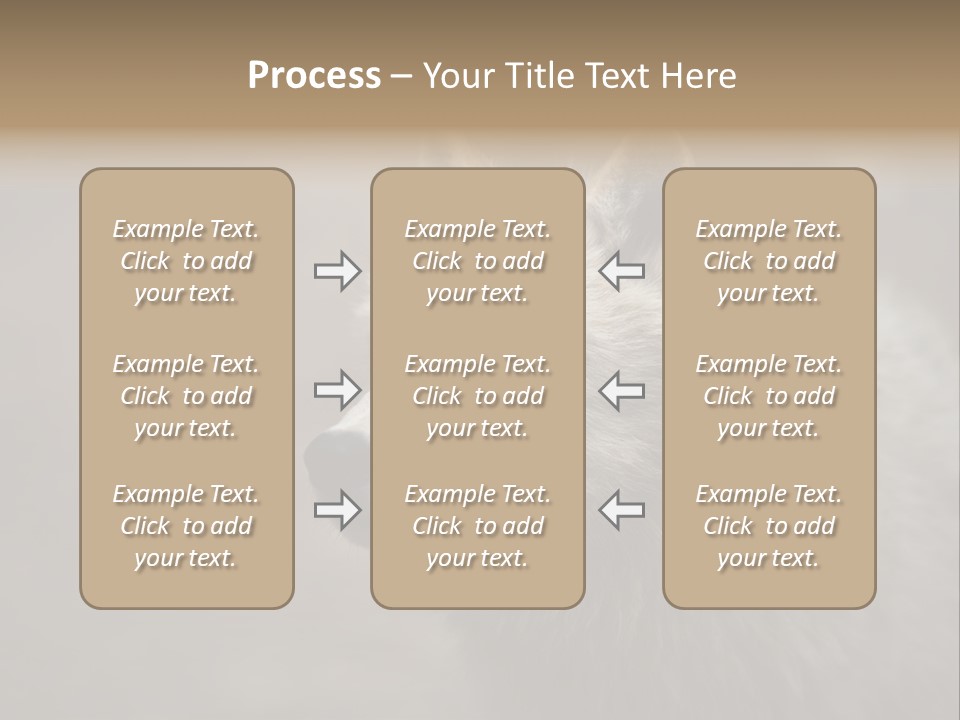 A Wolf Is Shown In This Powerpoint Presentation PowerPoint Template