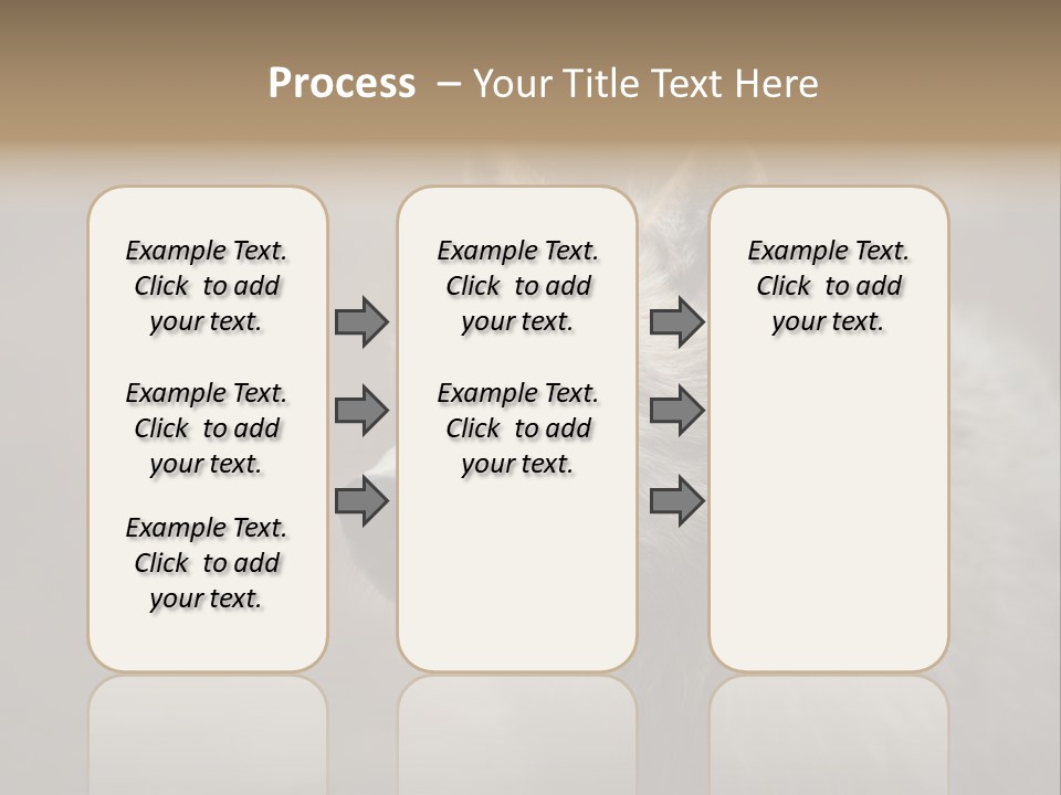 A Wolf Is Shown In This Powerpoint Presentation PowerPoint Template