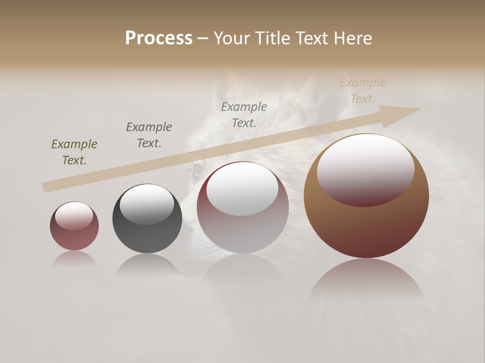 A Wolf Is Shown In This Powerpoint Presentation PowerPoint Template