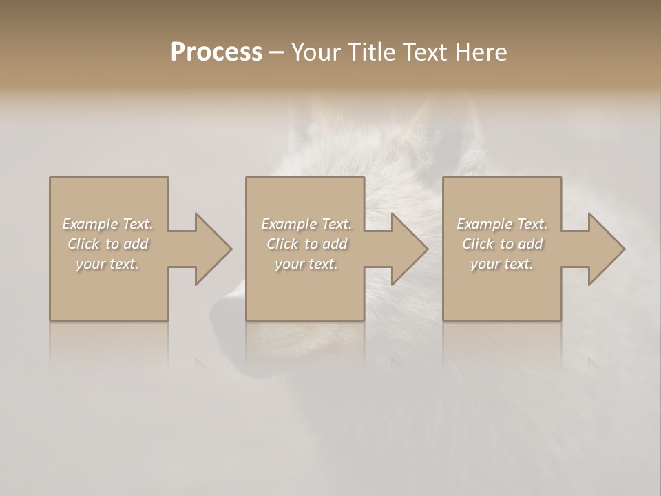 A Wolf Is Shown In This Powerpoint Presentation PowerPoint Template