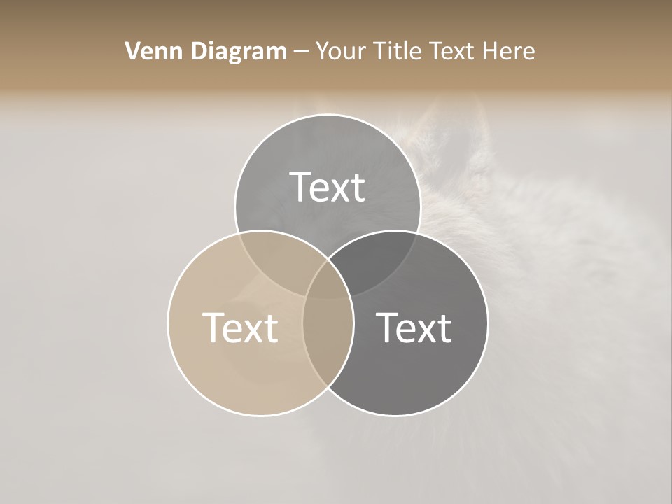 A Wolf Is Shown In This Powerpoint Presentation PowerPoint Template