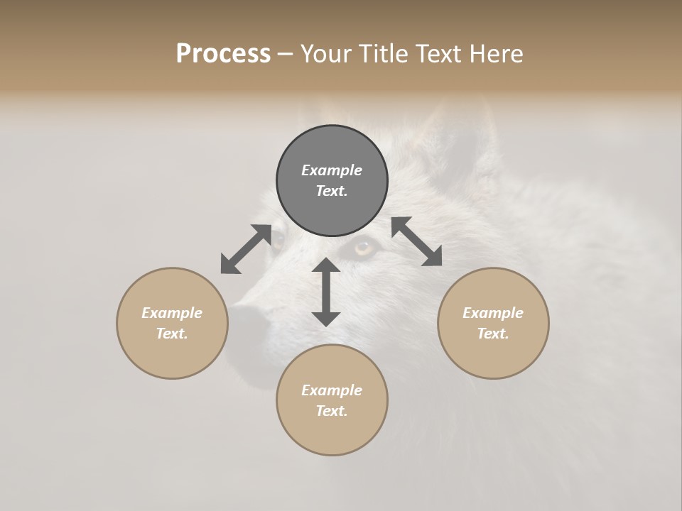 A Wolf Is Shown In This Powerpoint Presentation PowerPoint Template