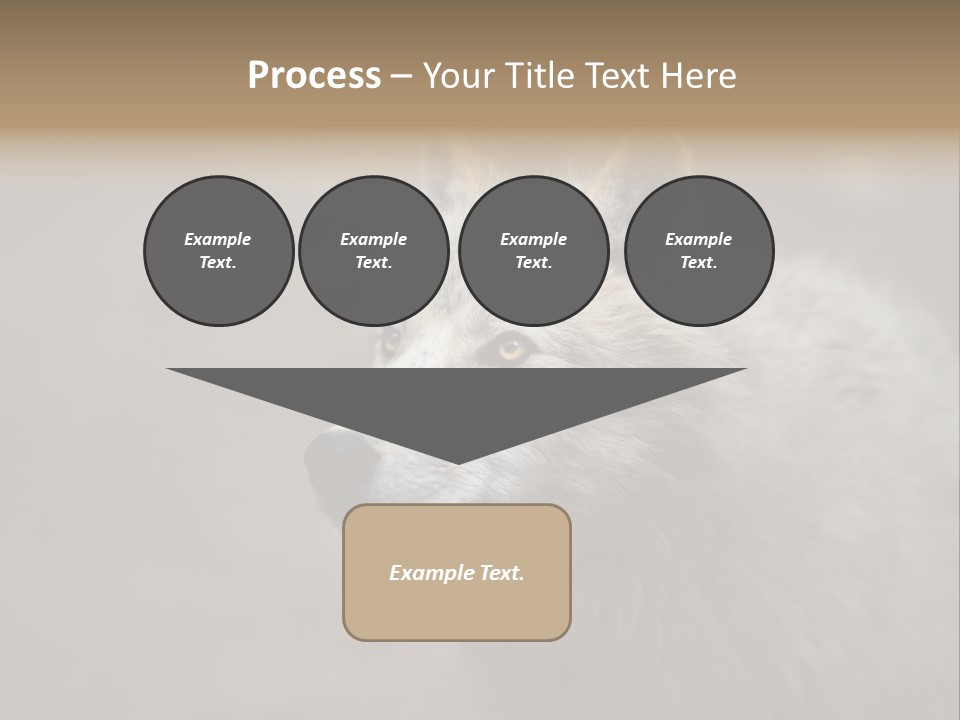 A Wolf Is Shown In This Powerpoint Presentation PowerPoint Template