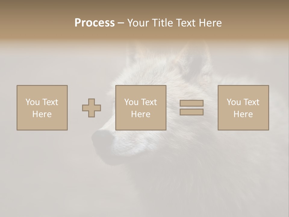 A Wolf Is Shown In This Powerpoint Presentation PowerPoint Template