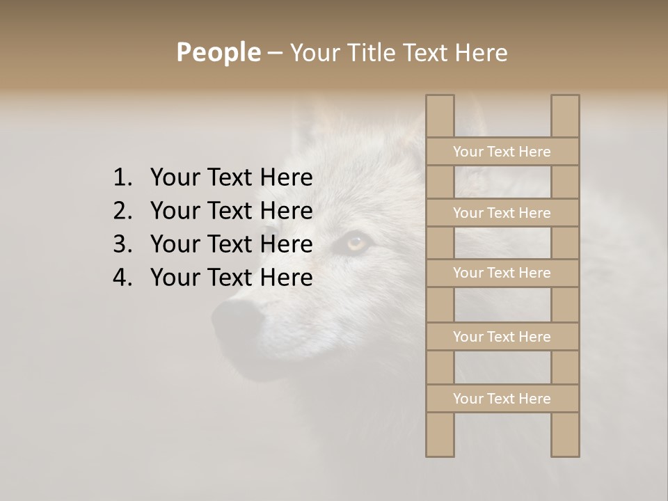 A Wolf Is Shown In This Powerpoint Presentation PowerPoint Template