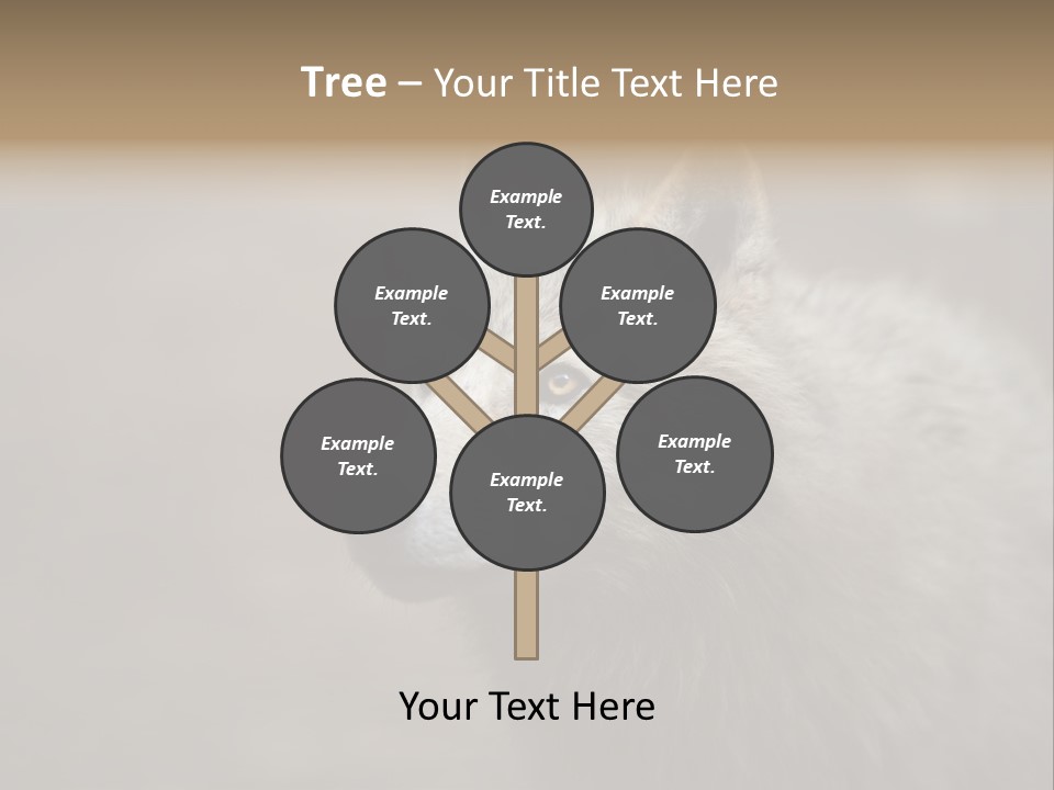 A Wolf Is Shown In This Powerpoint Presentation PowerPoint Template