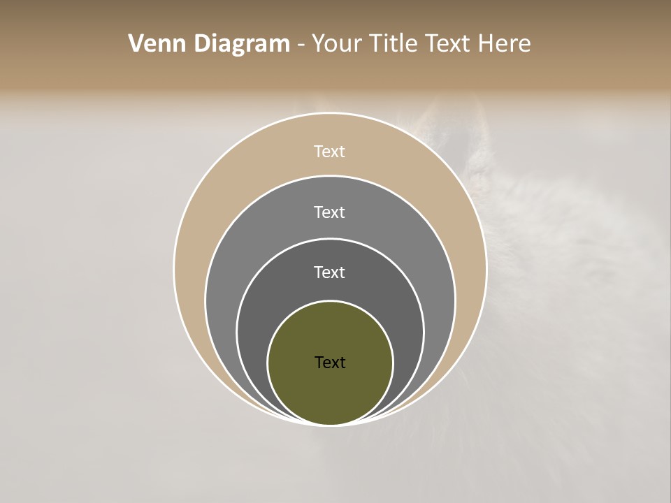 A Wolf Is Shown In This Powerpoint Presentation PowerPoint Template