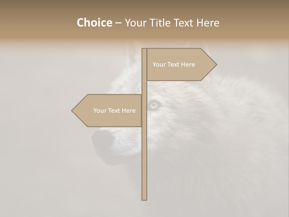 A Wolf Is Shown In This Powerpoint Presentation PowerPoint Template