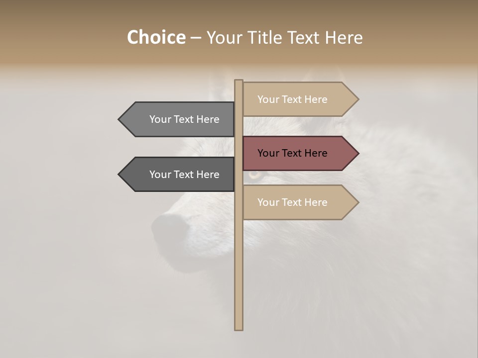 A Wolf Is Shown In This Powerpoint Presentation PowerPoint Template