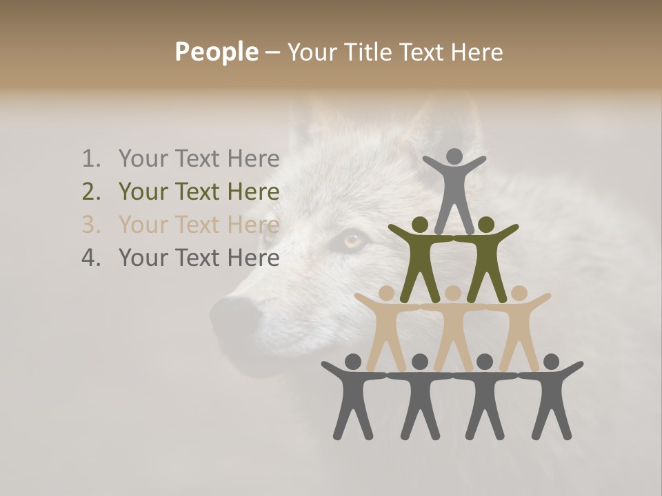 A Wolf Is Shown In This Powerpoint Presentation PowerPoint Template