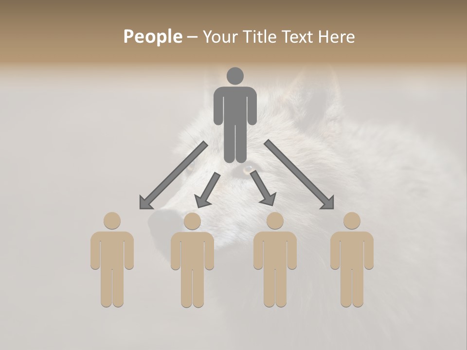 A Wolf Is Shown In This Powerpoint Presentation PowerPoint Template