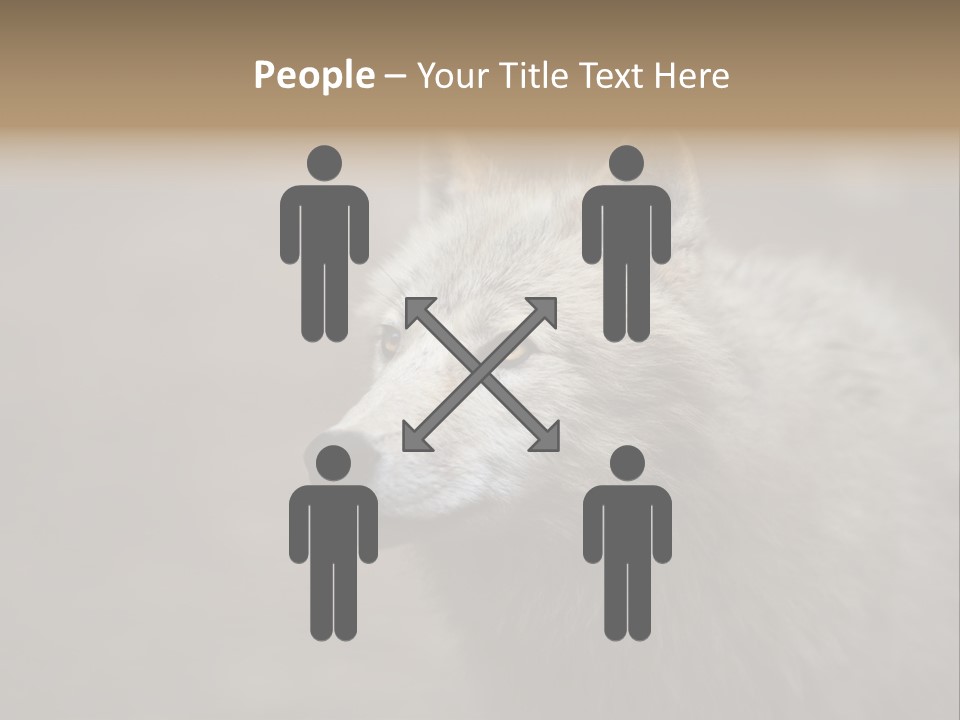 A Wolf Is Shown In This Powerpoint Presentation PowerPoint Template