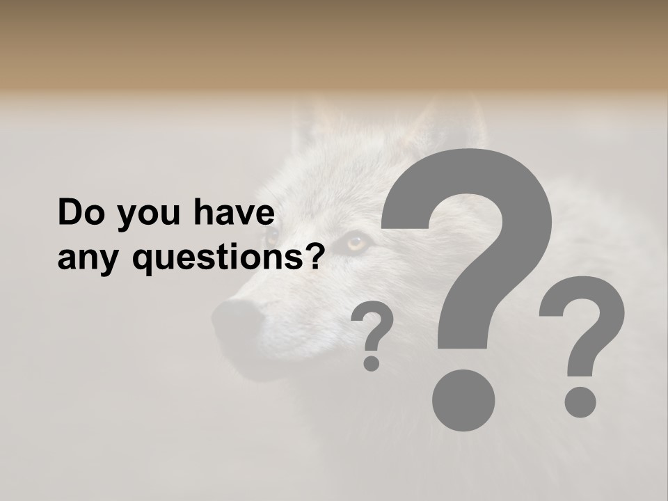 A Wolf Is Shown In This Powerpoint Presentation PowerPoint Template