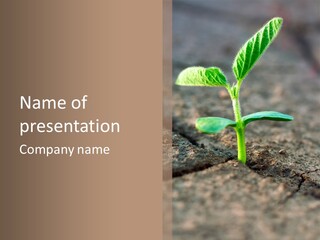 Green Agriculture Growth PowerPoint Template