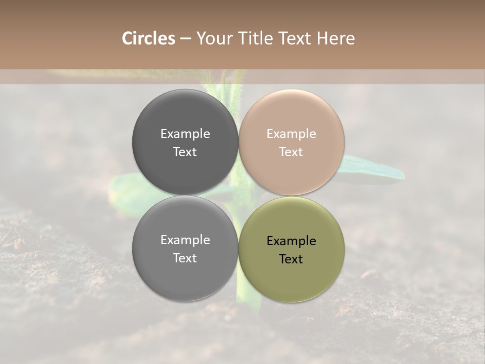 Green Agriculture Growth PowerPoint Template