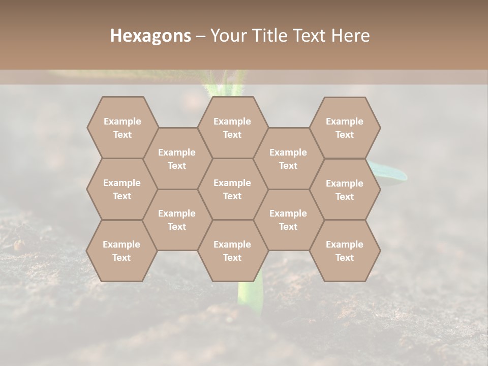 Green Agriculture Growth PowerPoint Template