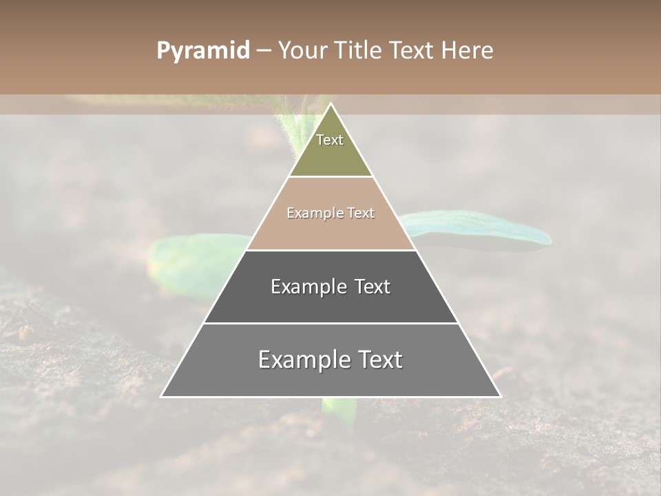 Green Agriculture Growth PowerPoint Template