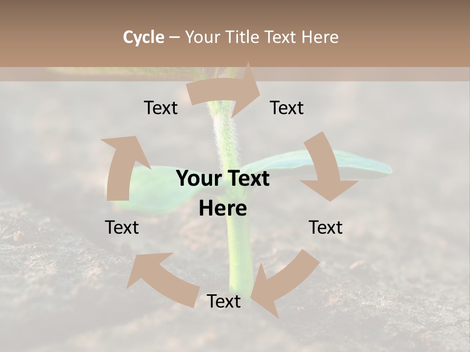 Green Agriculture Growth PowerPoint Template
