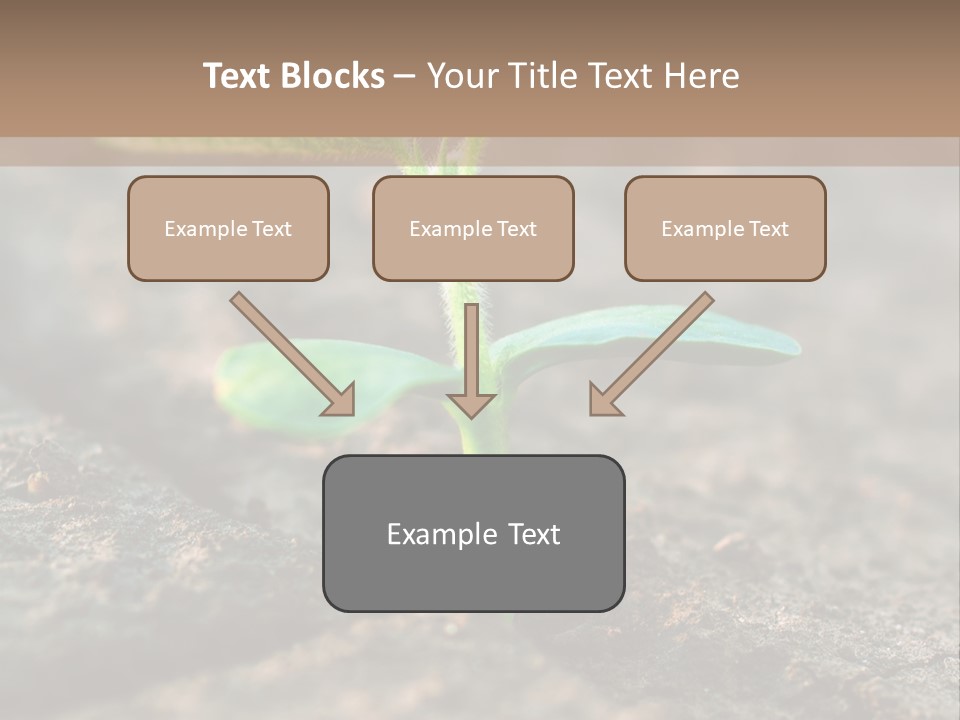 Green Agriculture Growth PowerPoint Template