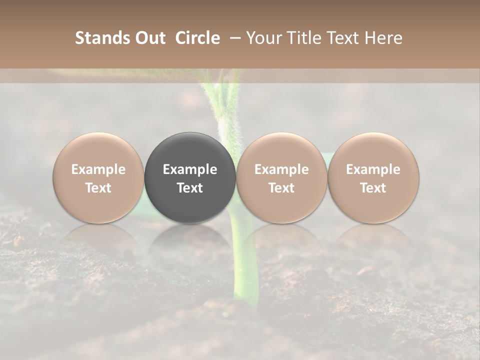 Green Agriculture Growth PowerPoint Template