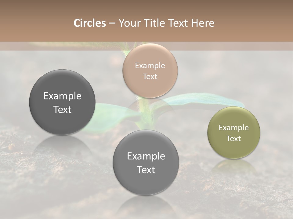Green Agriculture Growth PowerPoint Template