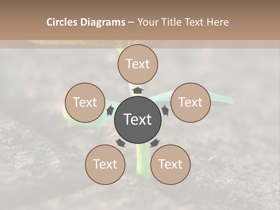 Green Agriculture Growth PowerPoint Template