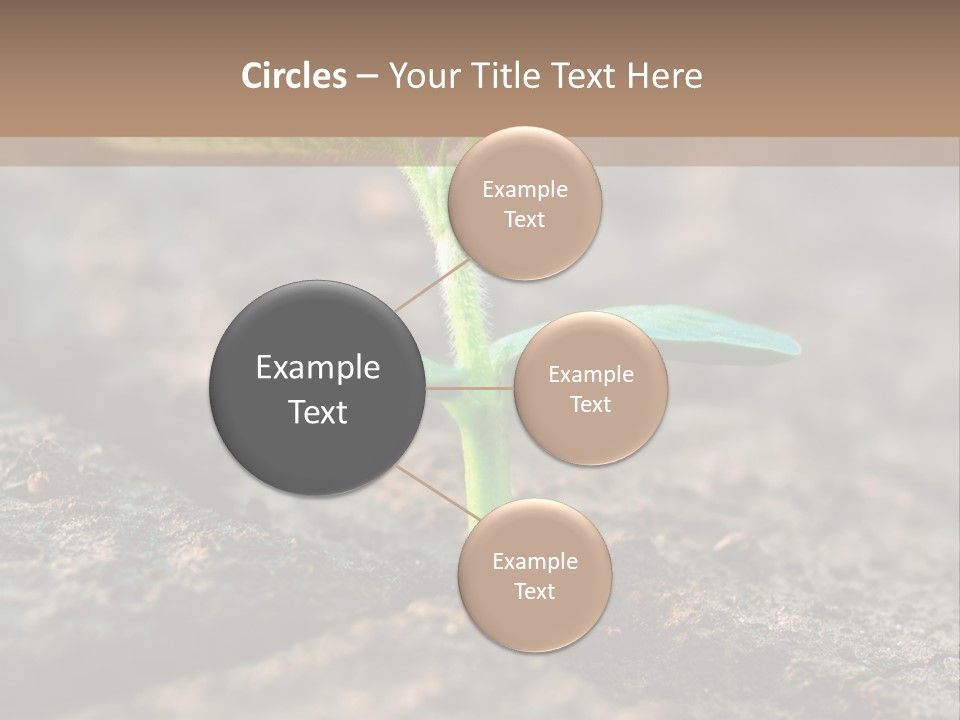 Green Agriculture Growth PowerPoint Template