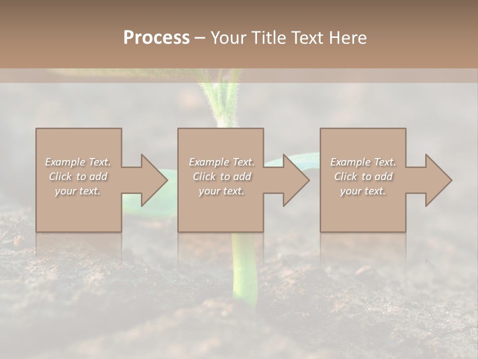 Green Agriculture Growth PowerPoint Template