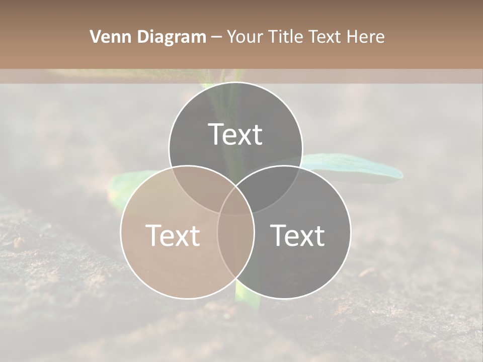 Green Agriculture Growth PowerPoint Template