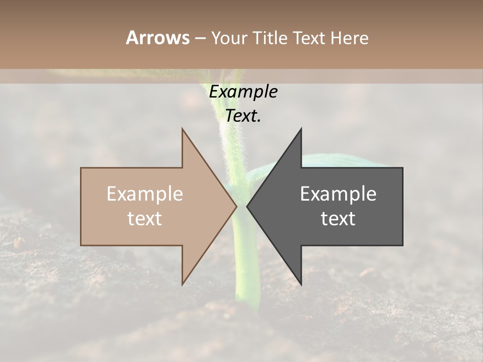 Green Agriculture Growth PowerPoint Template