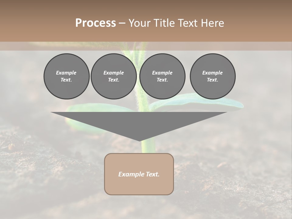 Green Agriculture Growth PowerPoint Template