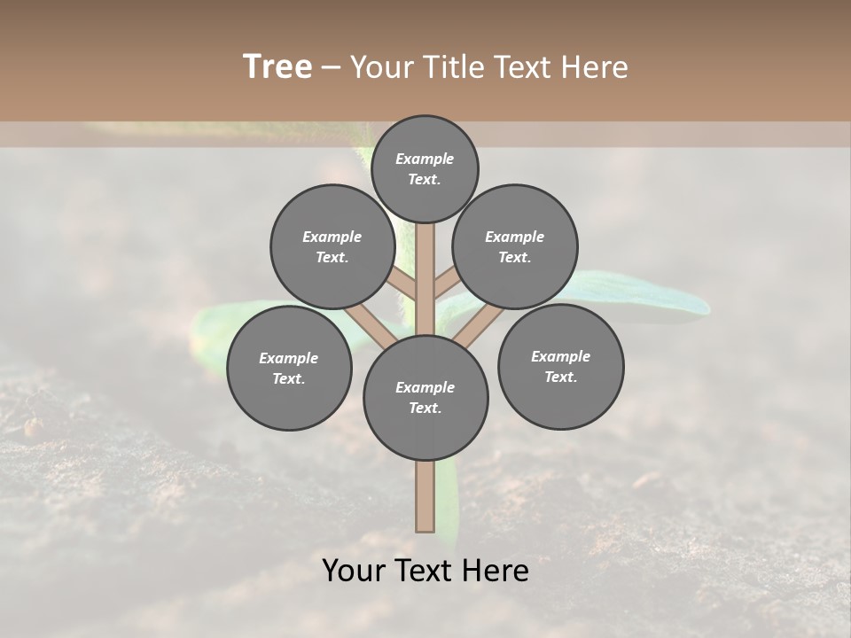 Green Agriculture Growth PowerPoint Template