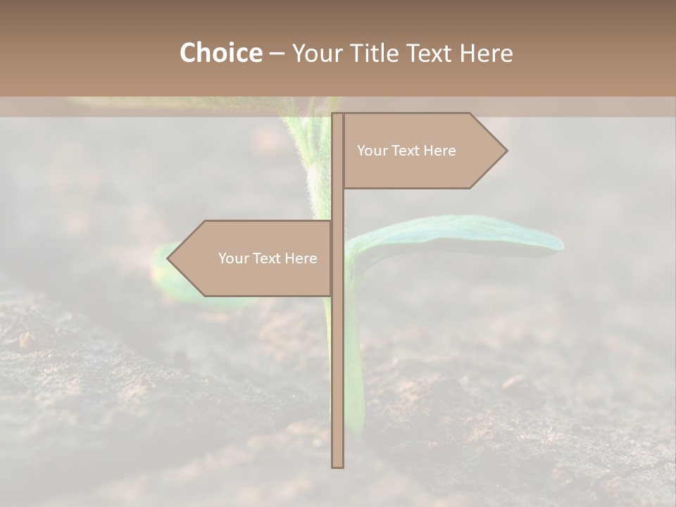 Green Agriculture Growth PowerPoint Template