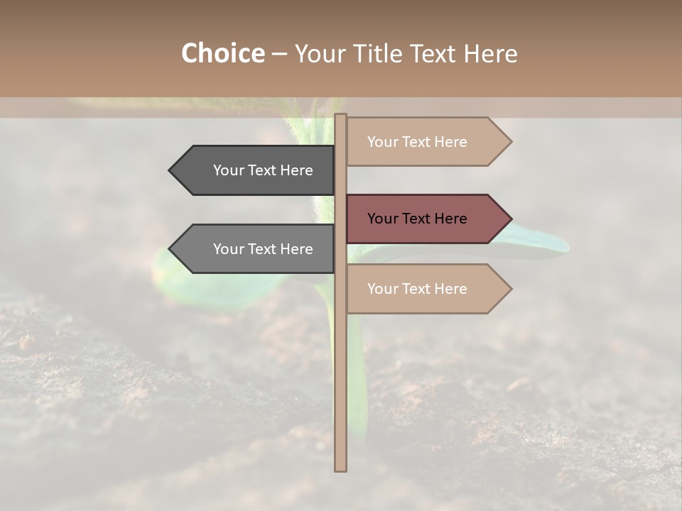 Green Agriculture Growth PowerPoint Template