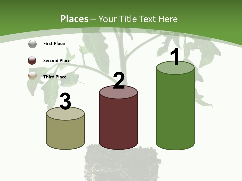 Leaf White Pot PowerPoint Template