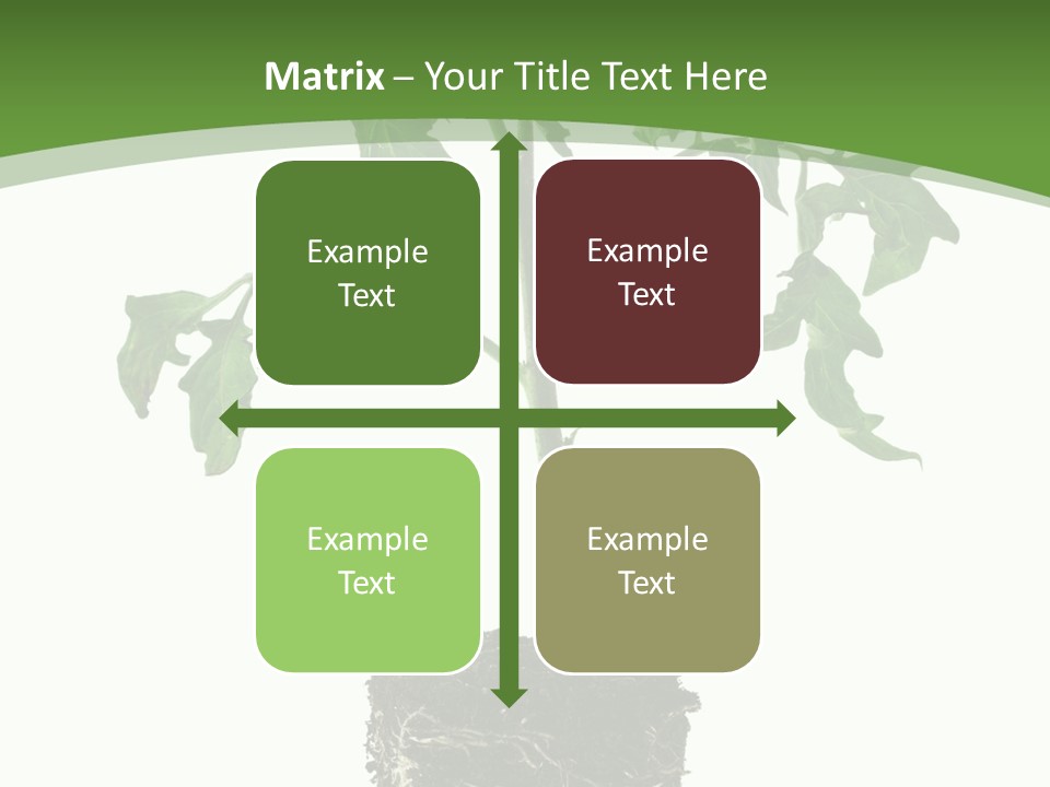 Leaf White Pot PowerPoint Template