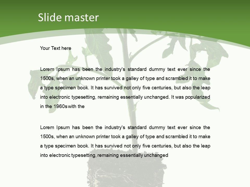 Leaf White Pot PowerPoint Template