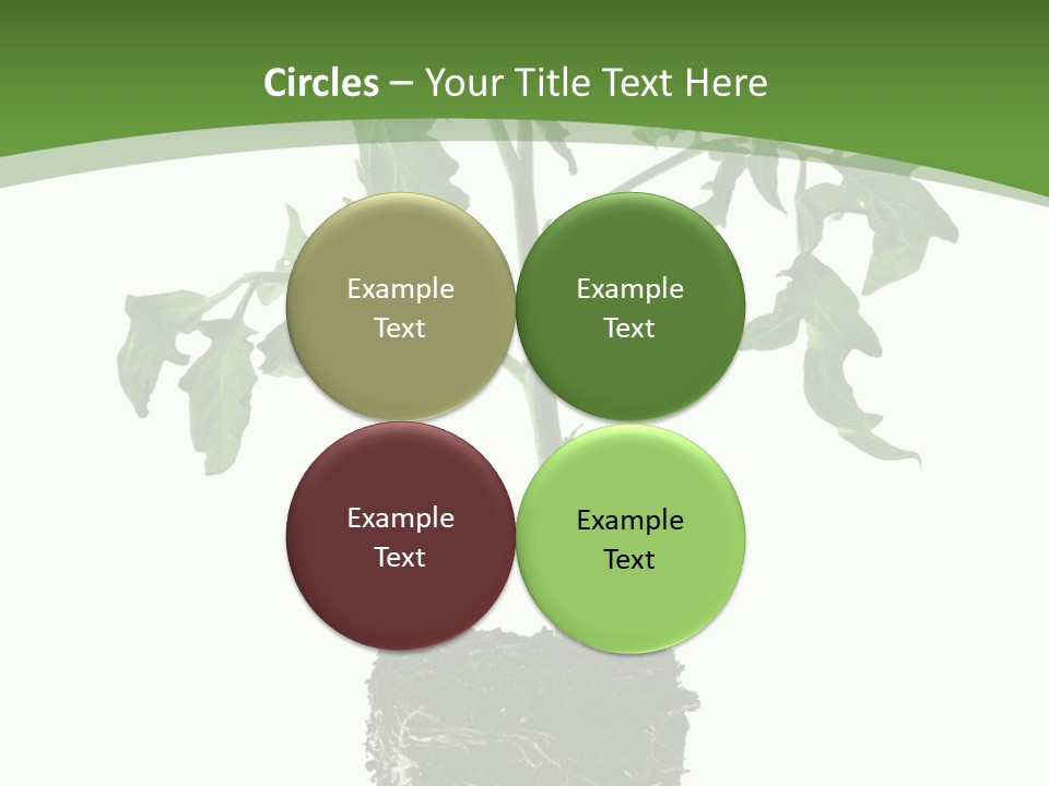 Leaf White Pot PowerPoint Template