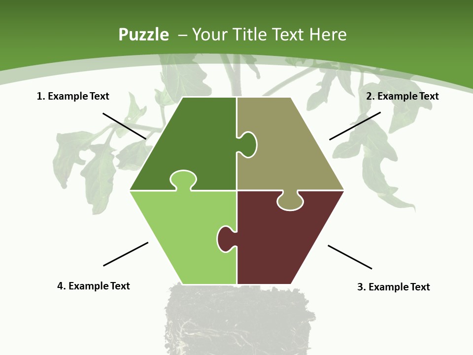 Leaf White Pot PowerPoint Template