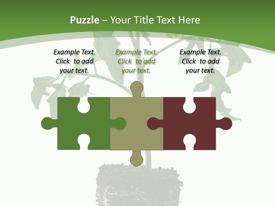 Leaf White Pot PowerPoint Template