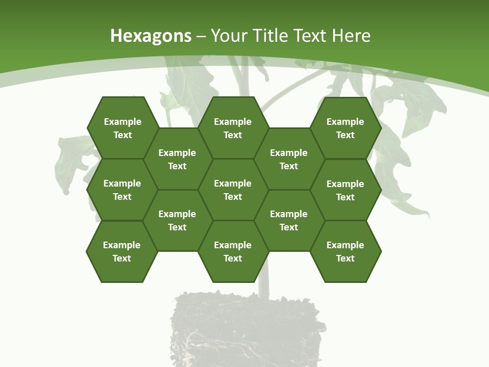 Leaf White Pot PowerPoint Template