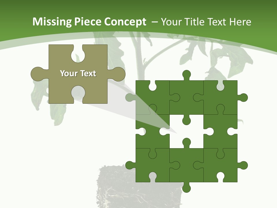 Leaf White Pot PowerPoint Template